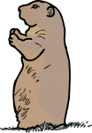 Prairie Dog freehand drawings